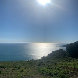 Meet your Posher, Delia